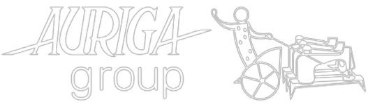 Auriga Group